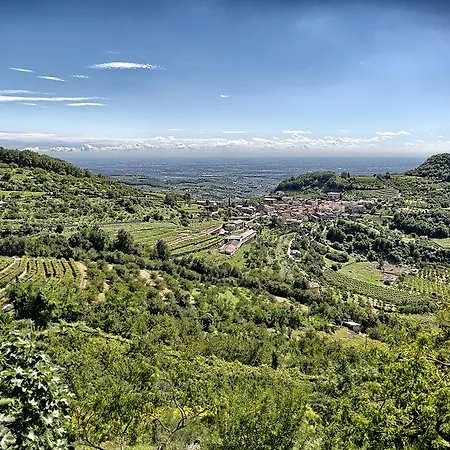 Valpolicella International Hotel San Pietro in Cariano